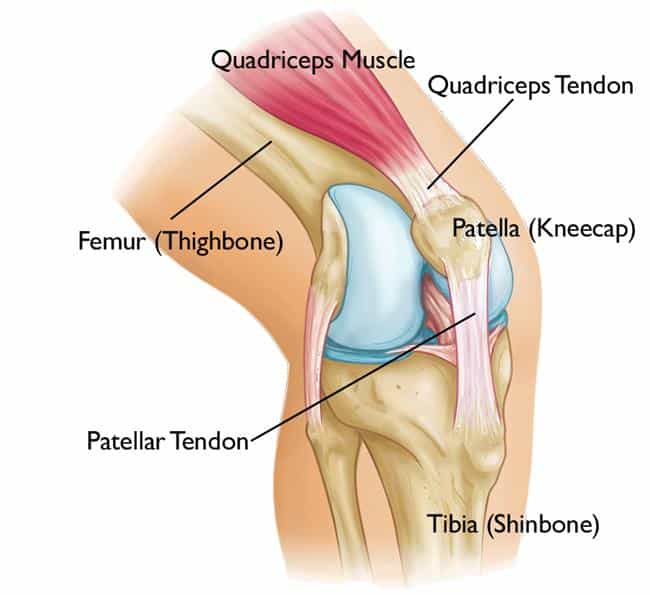 Adolescent Anterior Knee Pain