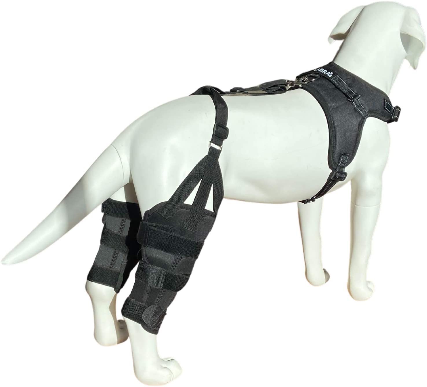 Amazon.com : Labra Dog Canine K9 Dual Knee Stifle Brace Wrap Metal ...