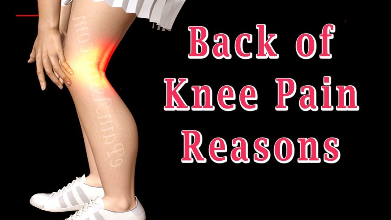 Back of Knee Pain
