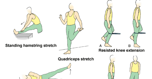 Best Quad Exercises