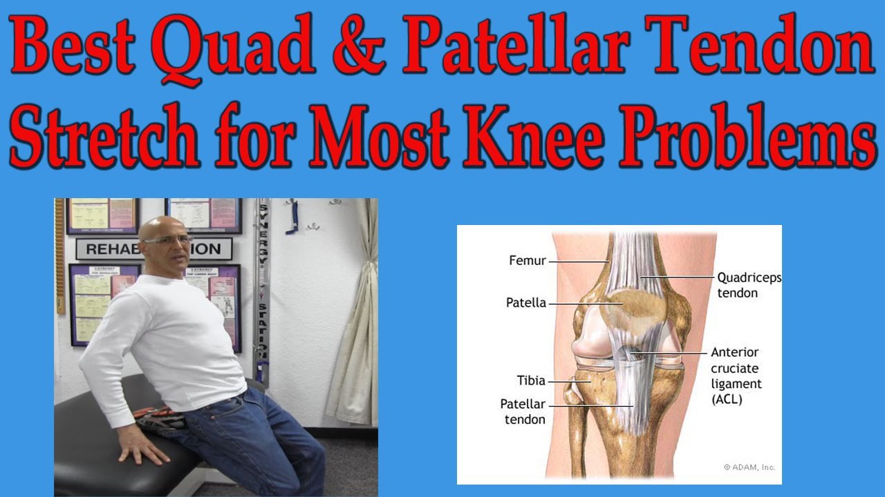 Best Quad & Patellar Tendon Stretch for Most Knee Problems ...