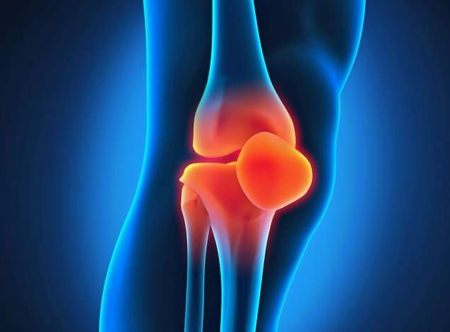 Can Glucosamine Supplements Protect my Knee Cartilage from ...