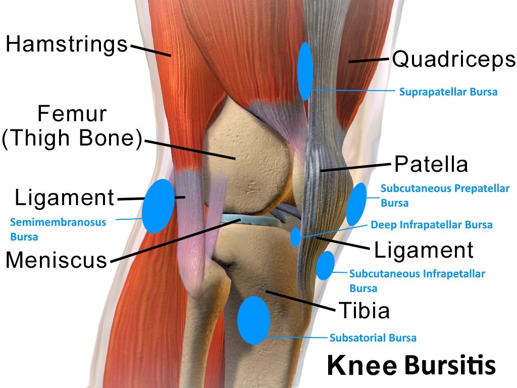 Do You Have Knee Pain?