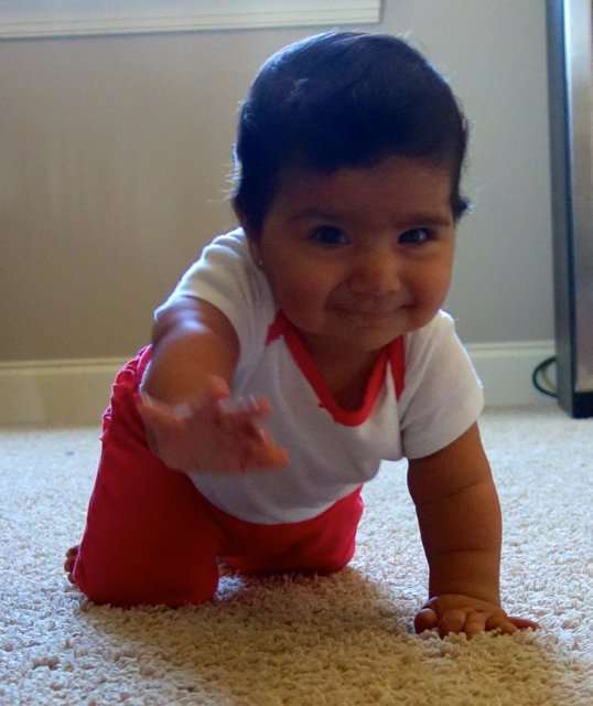 How Many Types of Crawling Are There Really? â¢ Conscious Baby