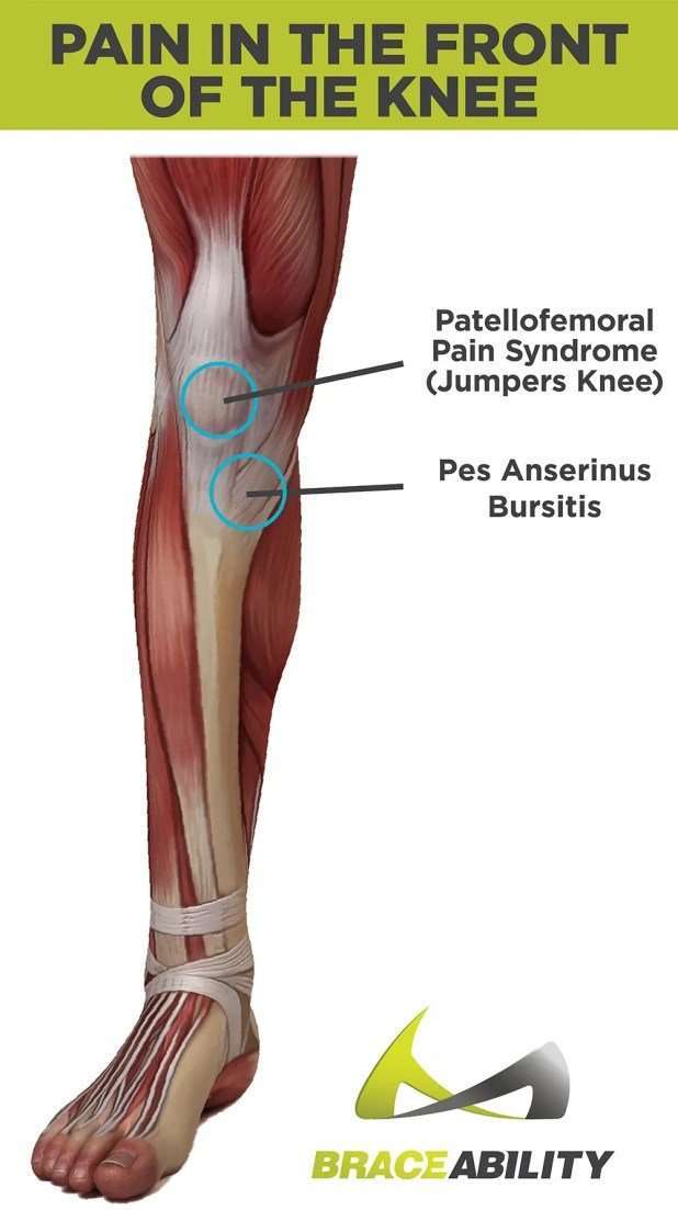 Interior Knee Pain Symptoms