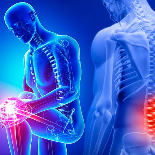 Knee, Back, Shoulder Pain  The Evolution Lab