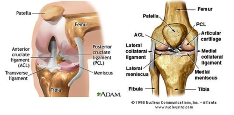 Knee injuries and what to do about it