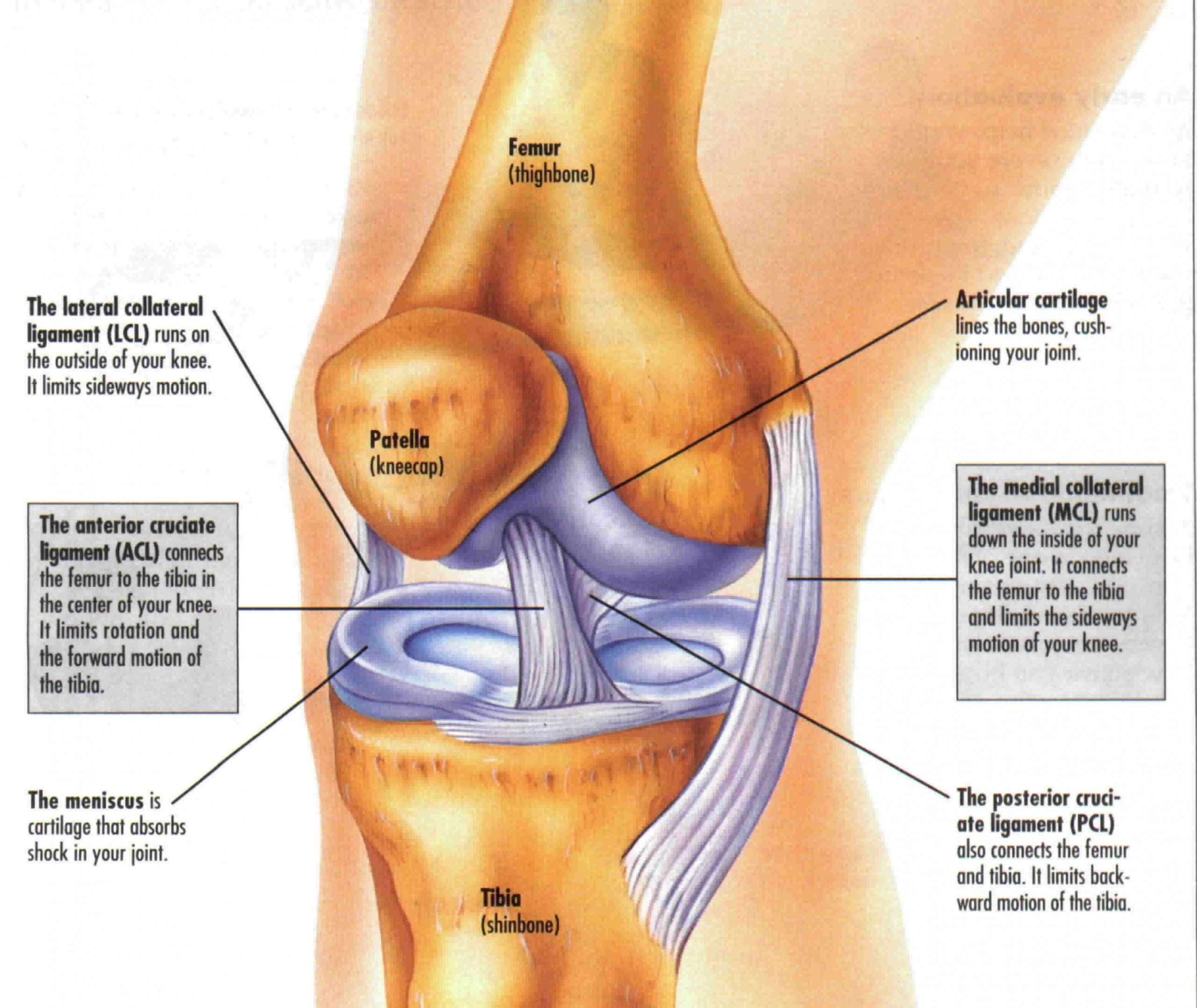 Knee pain. Causes, symptoms, treatment Knee pain