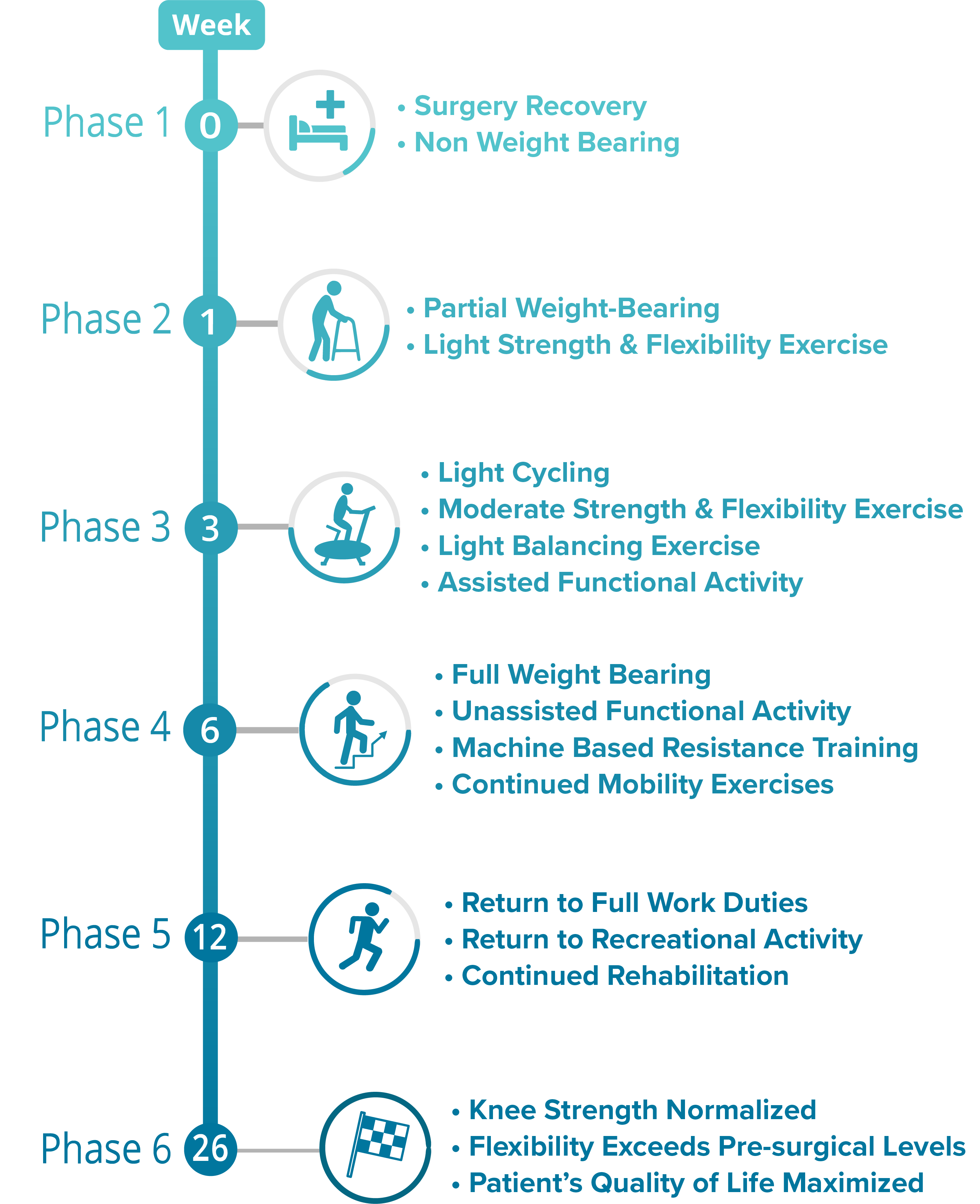 Knee Replacement Recovery Timeline