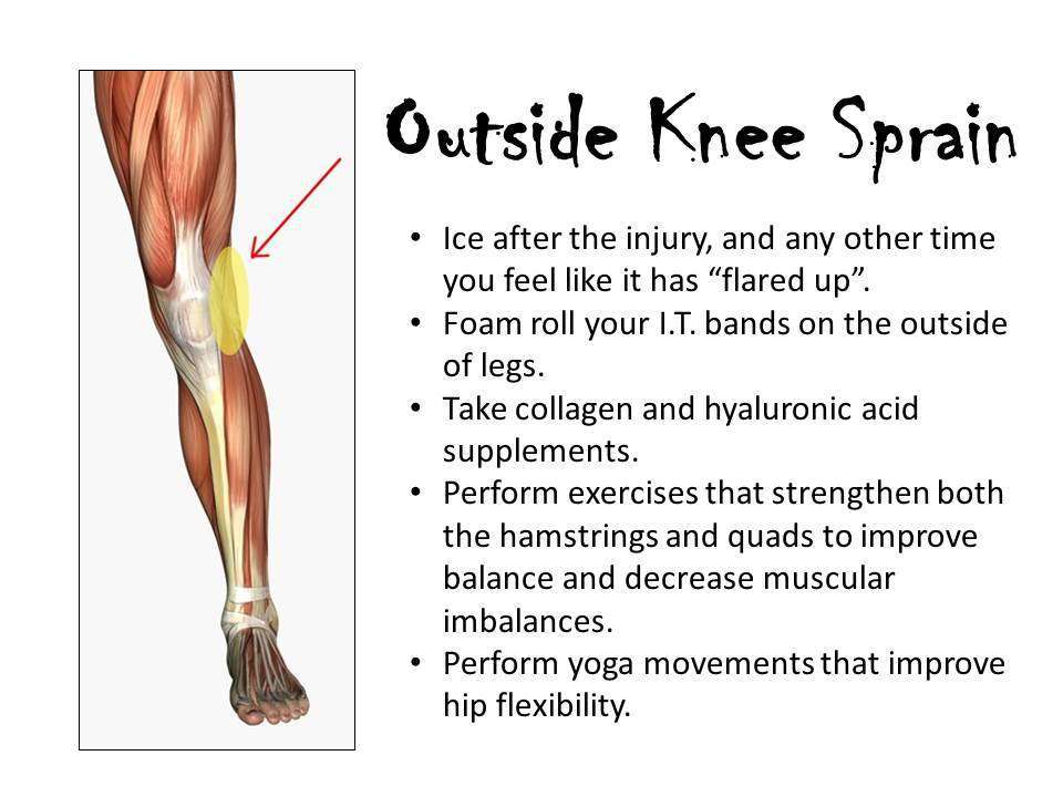 Leg Tendon Behind Knee / Do You Know What Causes Pain ...