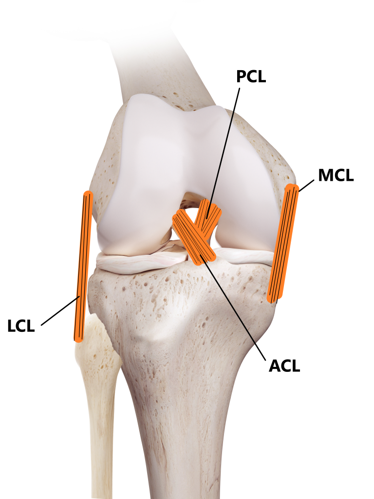 Medial Collateral Ligament (MCL) Injuries