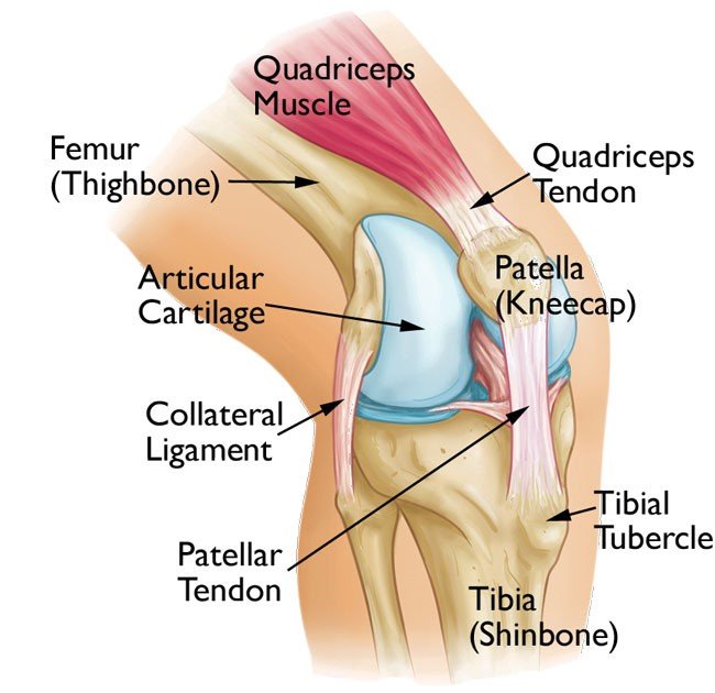 Patellofemoral Pain Syndrome  Total Physiocare