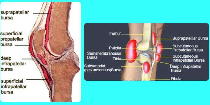 Recovery Time For Knee Bursitis &  Treatment Options