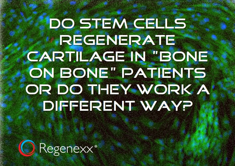 Stem Cell Cartilage Regeneration