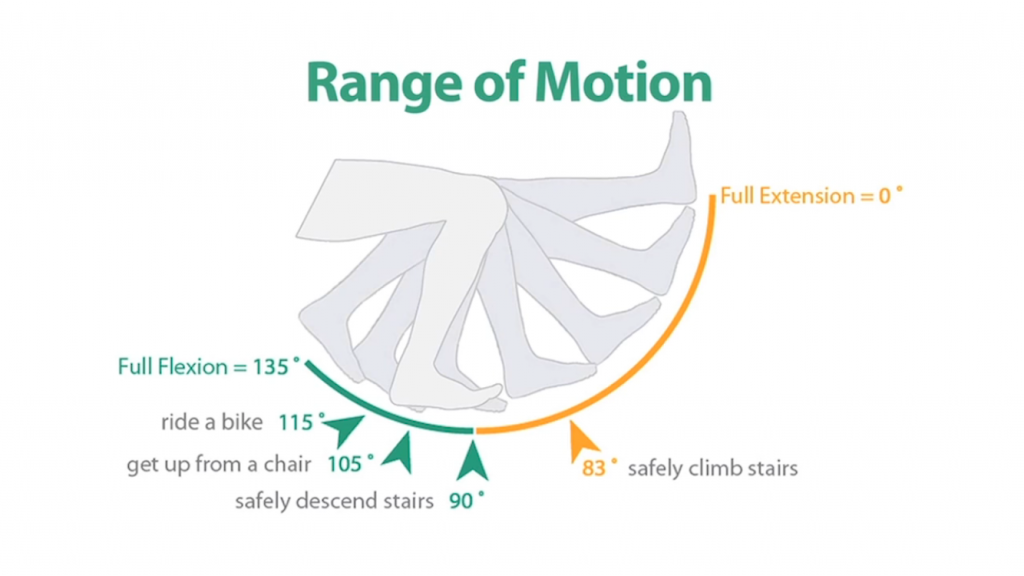 The Fundamental Importance of Knee Range of Motion