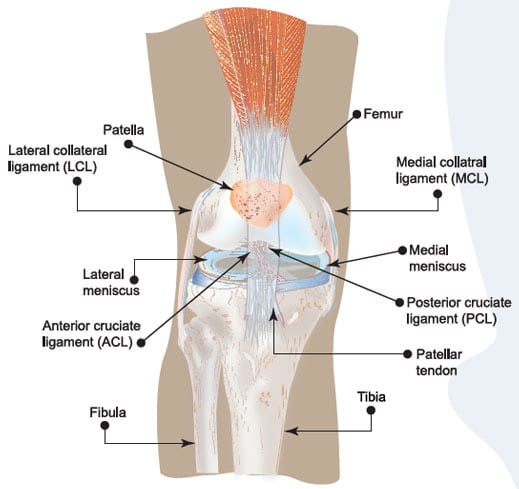 Torn ACL Knee Injury