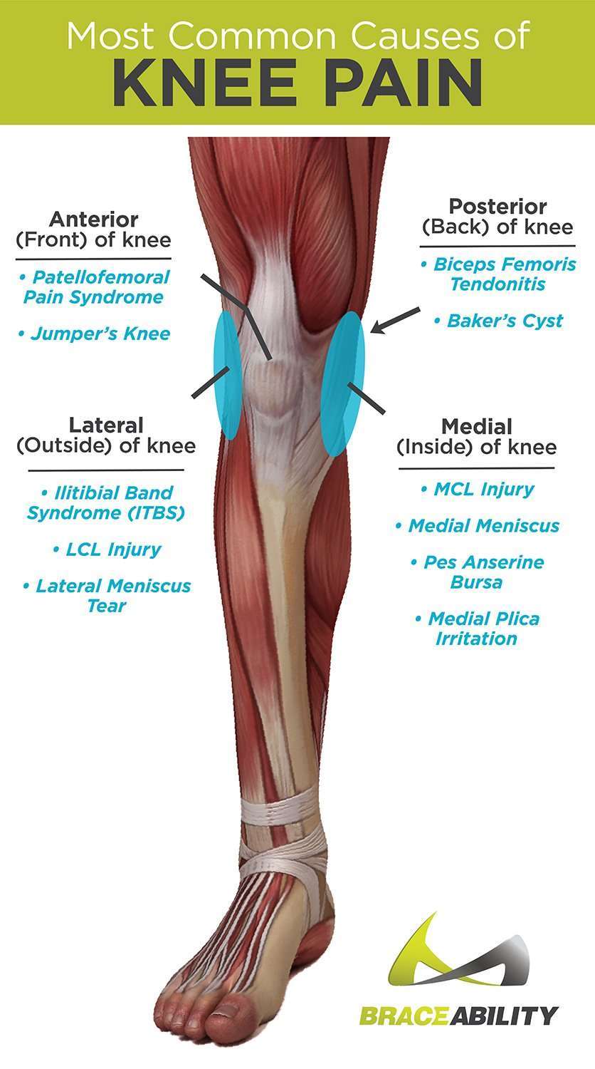 Types of Knee Pain: Anterior, Posterior, Medial, &  Lateral