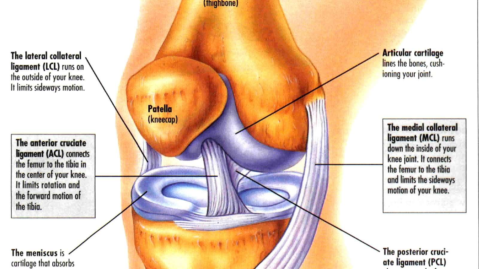 What Does It Mean When Your Knee Cap Hurts