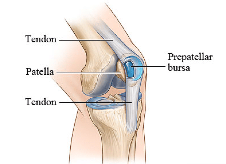 What is Bursitis? Why is it so Painful? And What can be ...