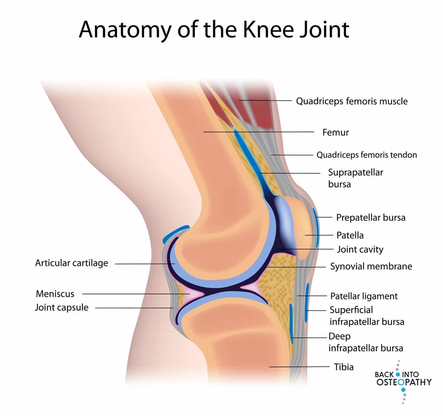 What is your knee pain?