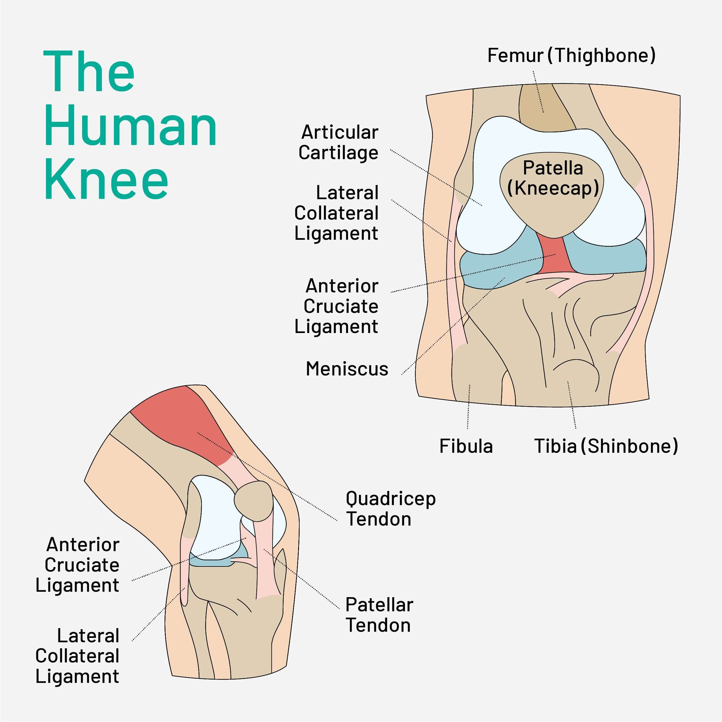Why does my knee hurt during or after running?
