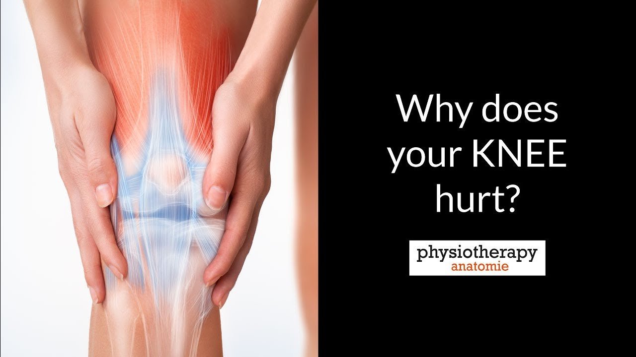 Why does your KNEE HURT?