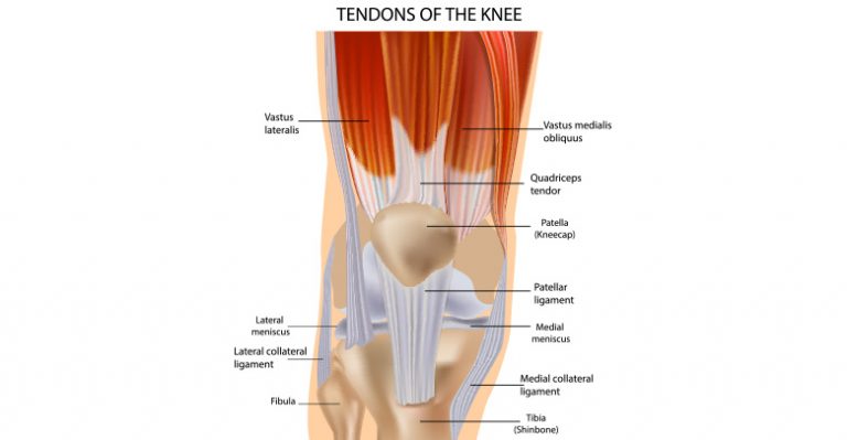 Why is my Knee Swollen and Sore? The causes of knee pain
